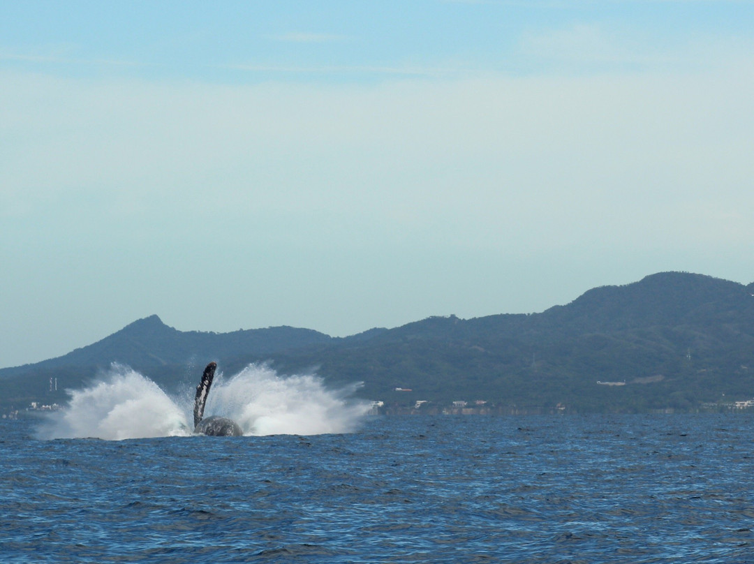 BIOCEAN Wildlife Encounters-新瓦雅塔必去景点