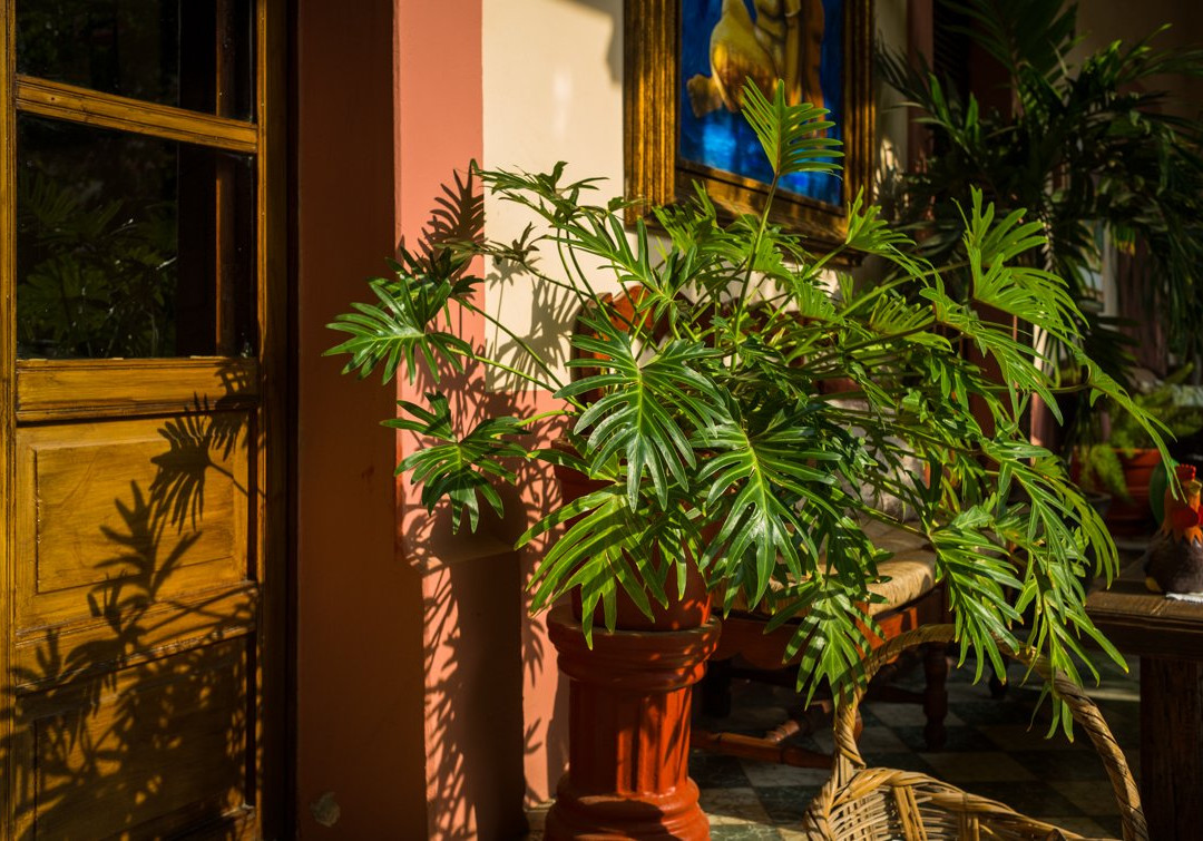 Santa Elena Hotel Boutique主图