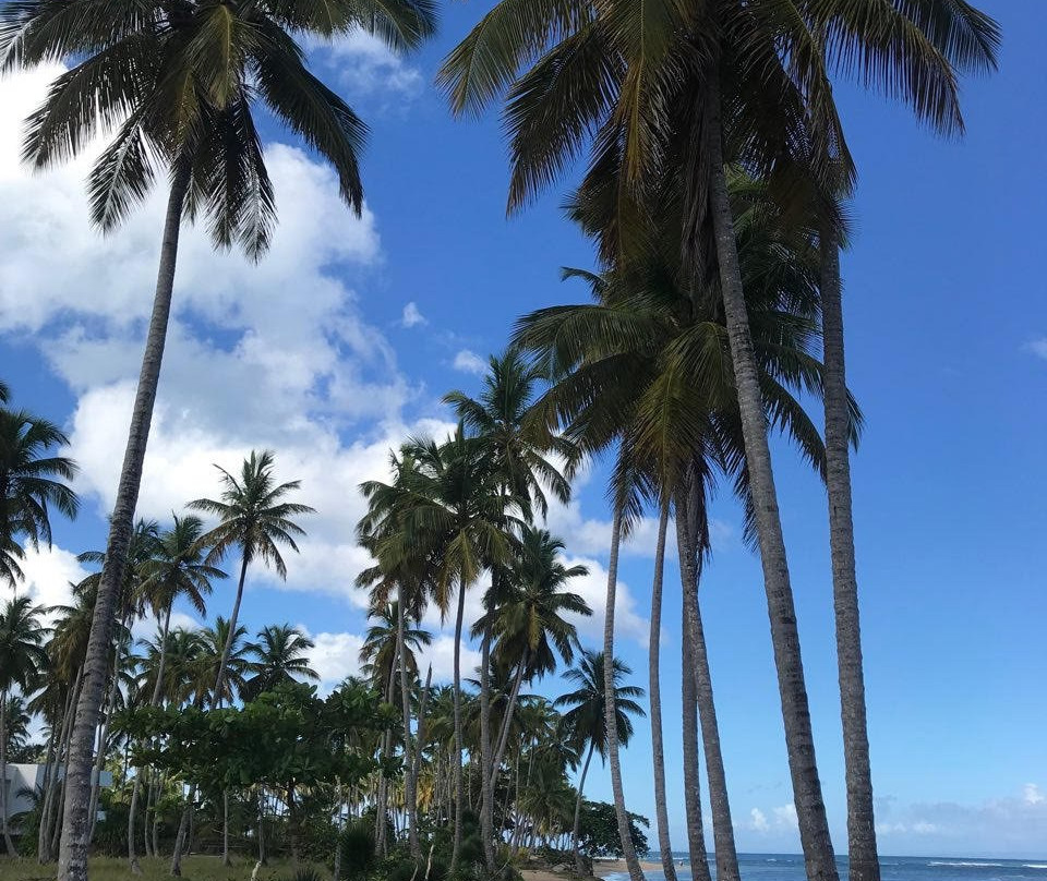 Casa Grande Beach Hotel主图