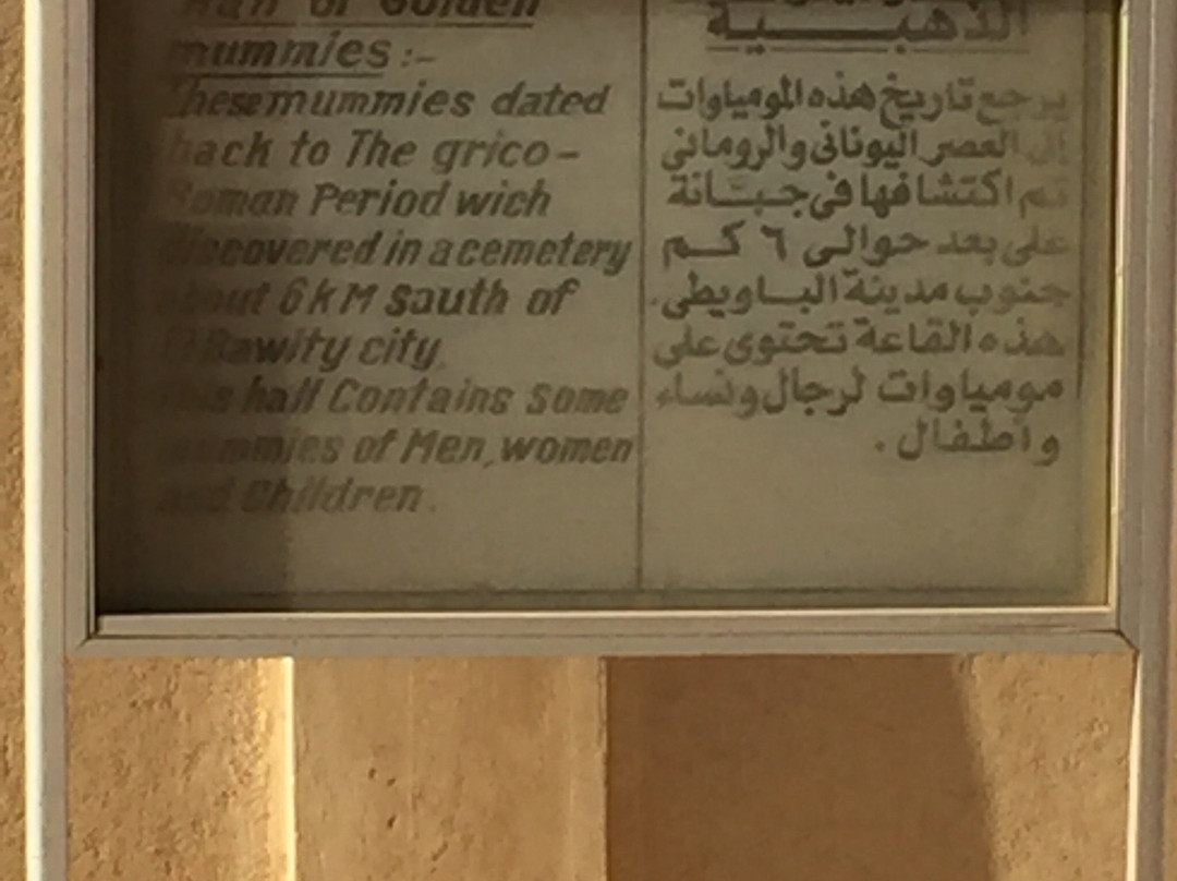 Bahariya Cemetery景点图片