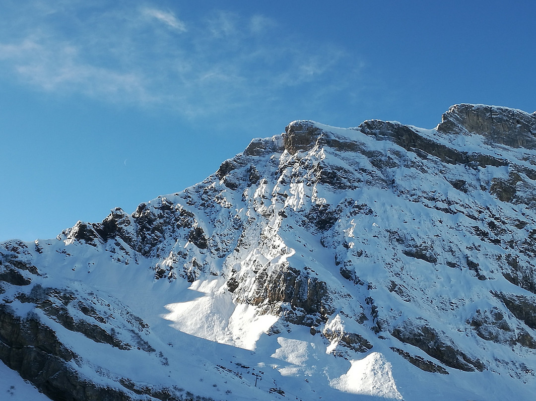 Berghotel Trübsee主图