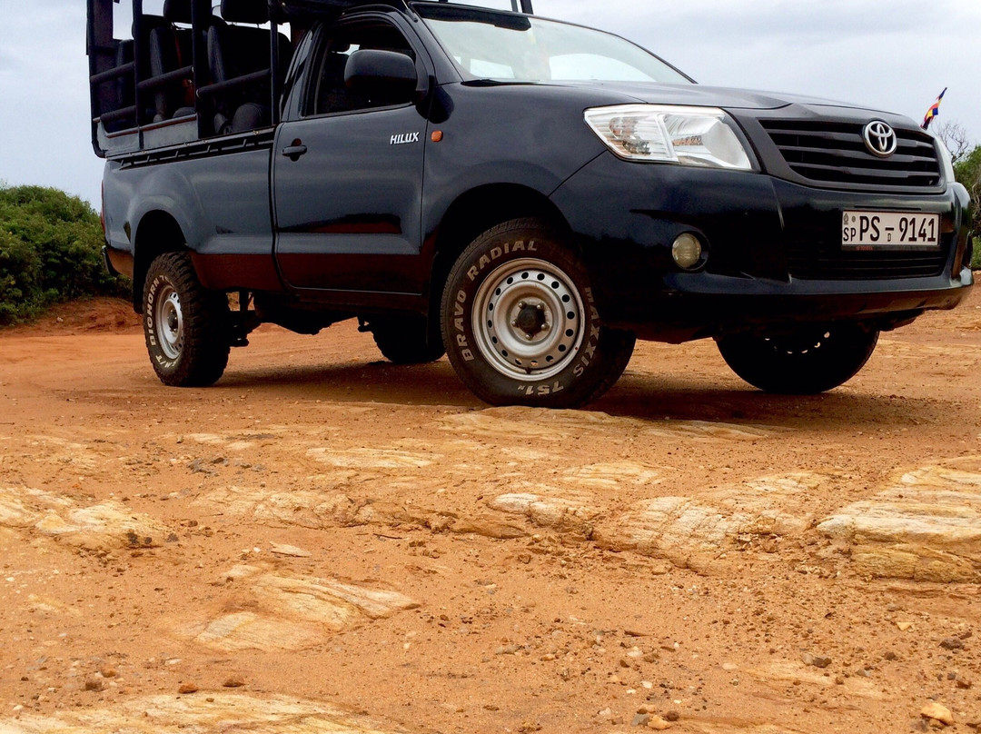 Sri Wild Yala Safari-蒂瑟默哈拉默必去景点