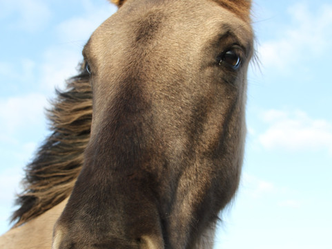 Lentevreugd-Wassenaar必去景点