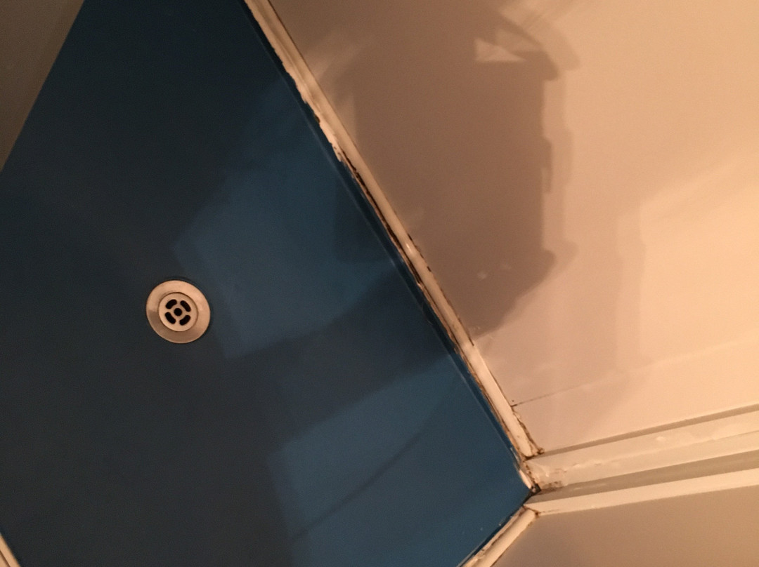 Albergo Adelia主图