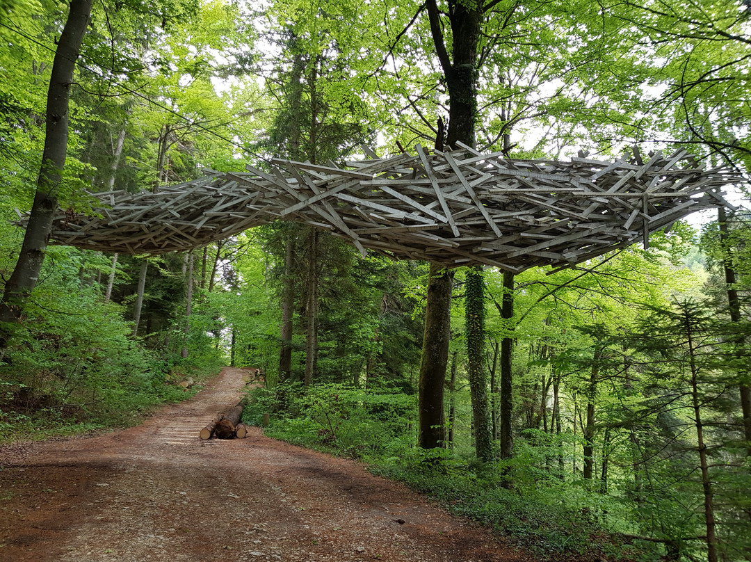 Holzweg Thal-Balsthal必去景点