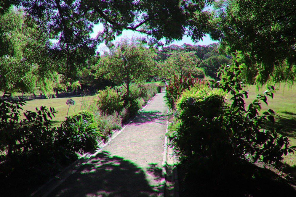 Government Gardens-亚瑟港必去景点