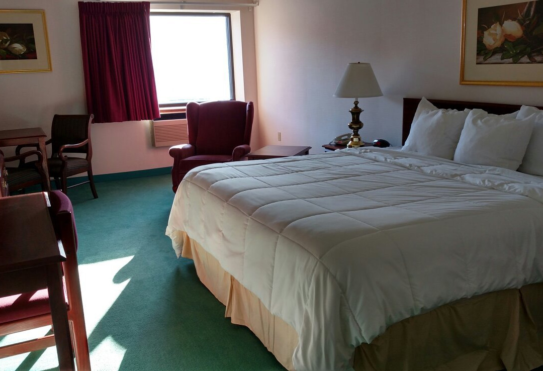 Hampton Inn & Suites By Hilton Houghton主图