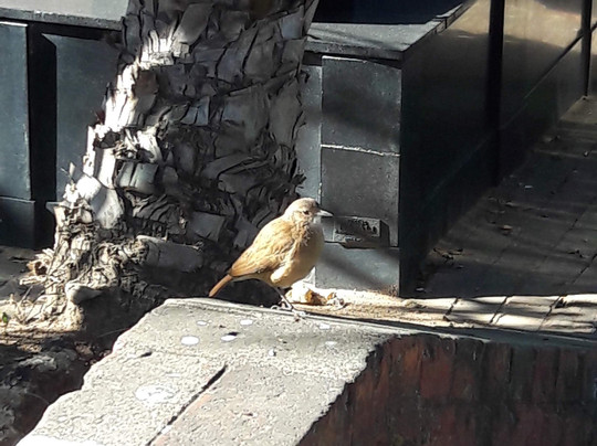 Cemitério do Bonfim-贝洛哈里桑塔必去景点