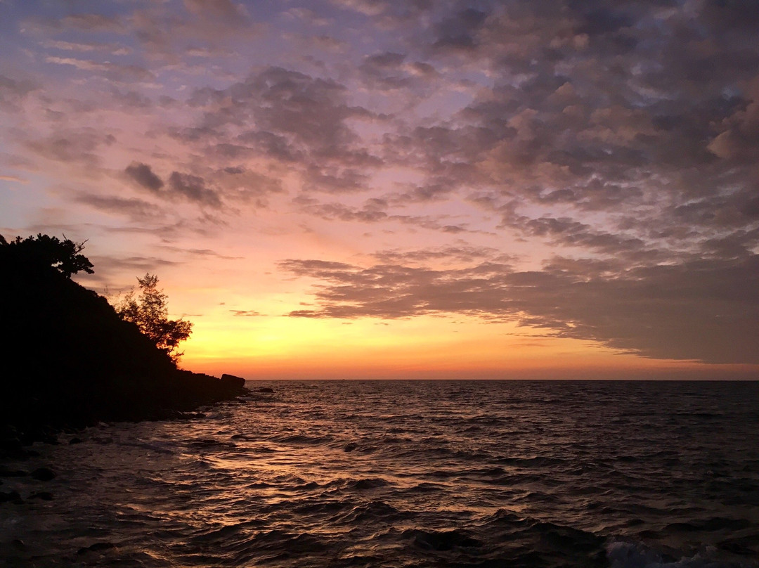Caribbean Boat Tours景点图片