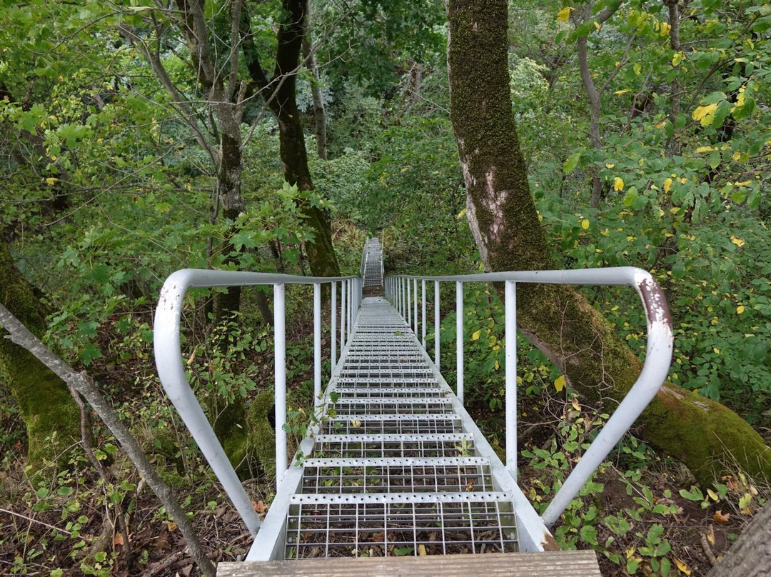 Saka Klindimoisa Hiking Trail-Saka必去景点