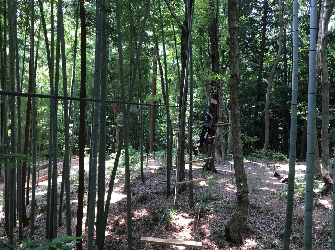 Forest Adventure Ohira-栃木市必去景点
