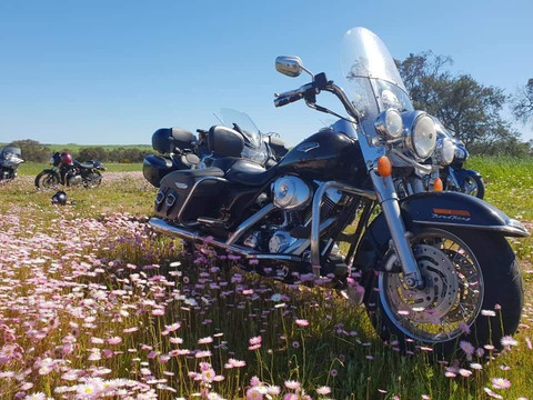 Midwest Motorcycle Trips and Tours-杰拉尔顿必去景点