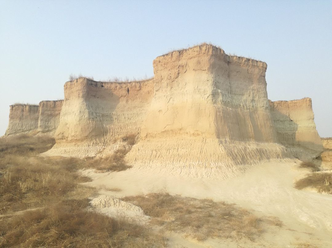 Datong Forest景点图片