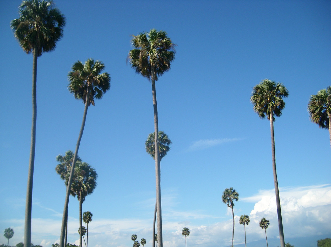 Hotel Playazul主图