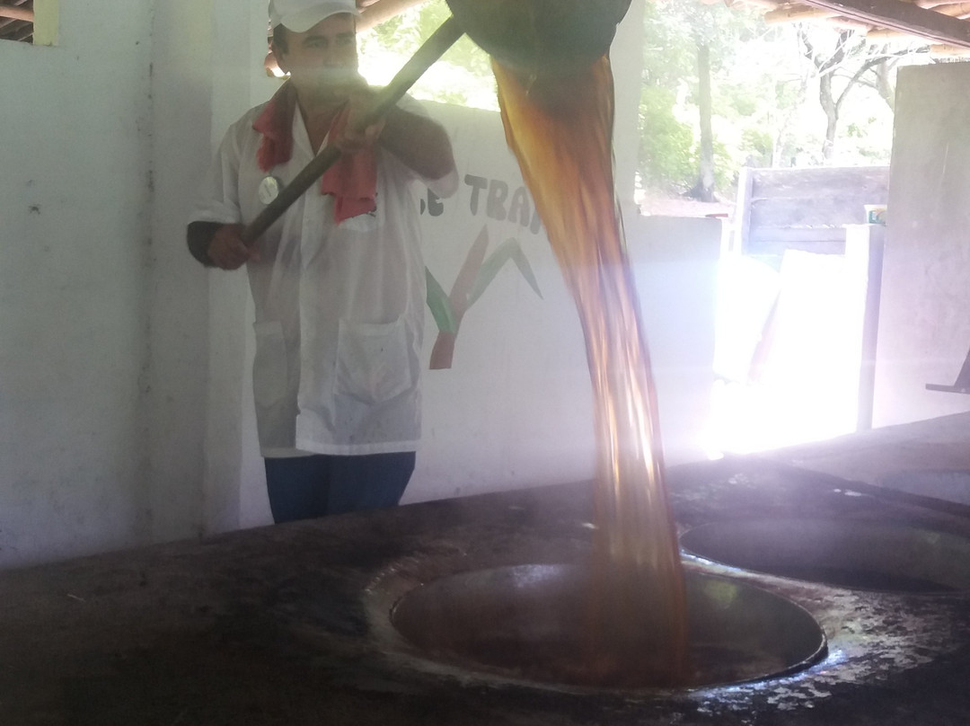 Parque nacional de la Uva-La Union必去景点