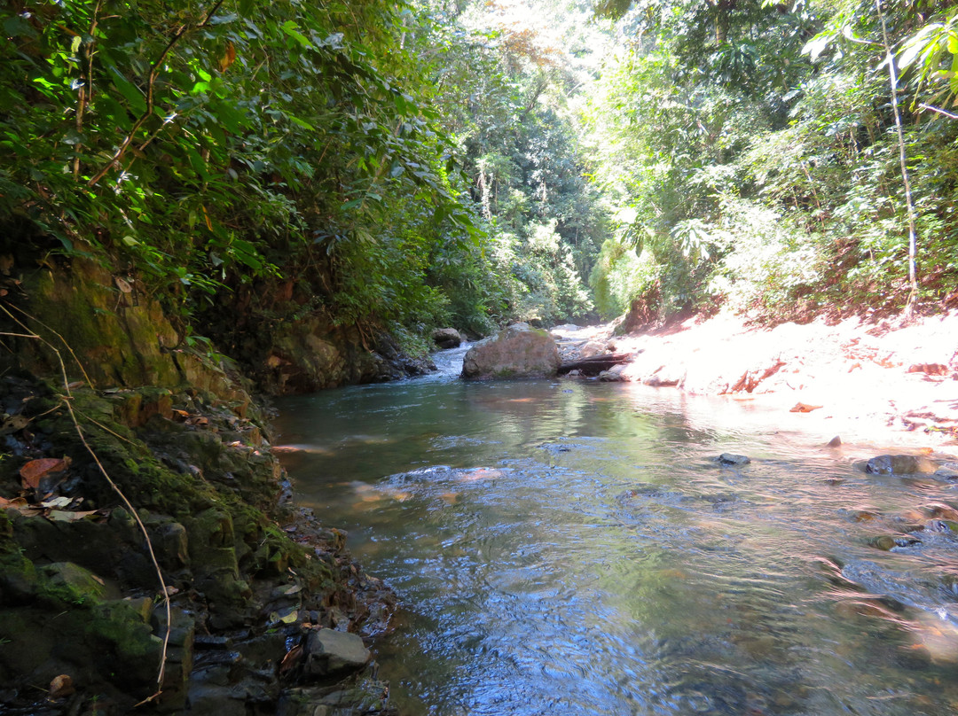 Chagres National Park景点图片