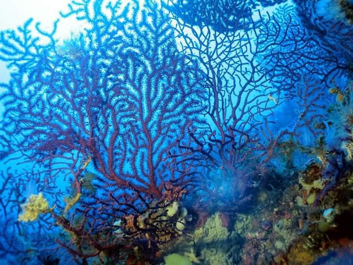 Spiaggia della Marinella-Palmi必去景点