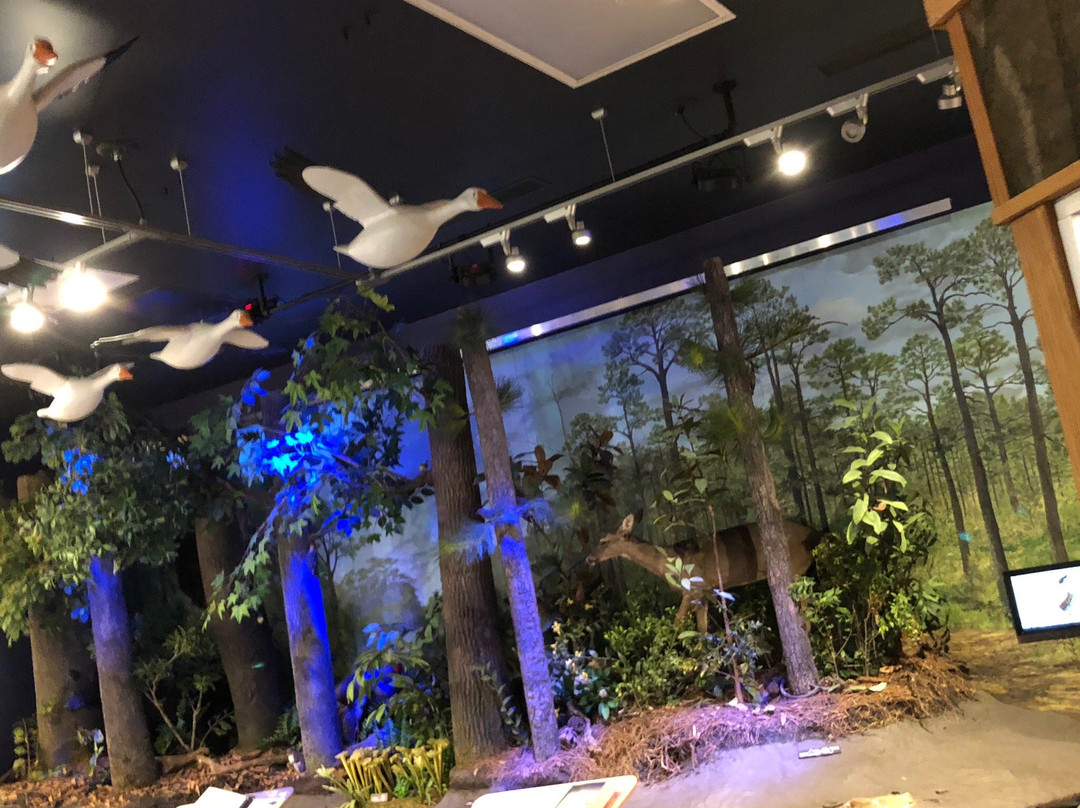 National Wildlife Refuges Visitor Center景点图片