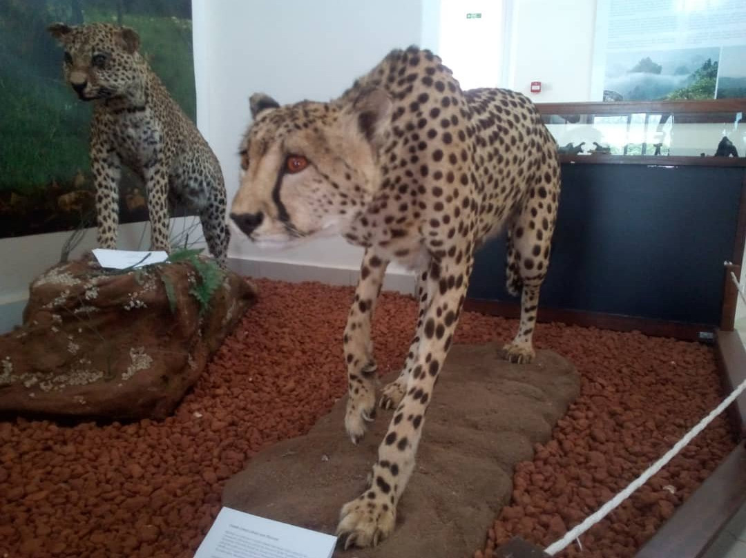 Kivu Explorer-Kibuye必去景点