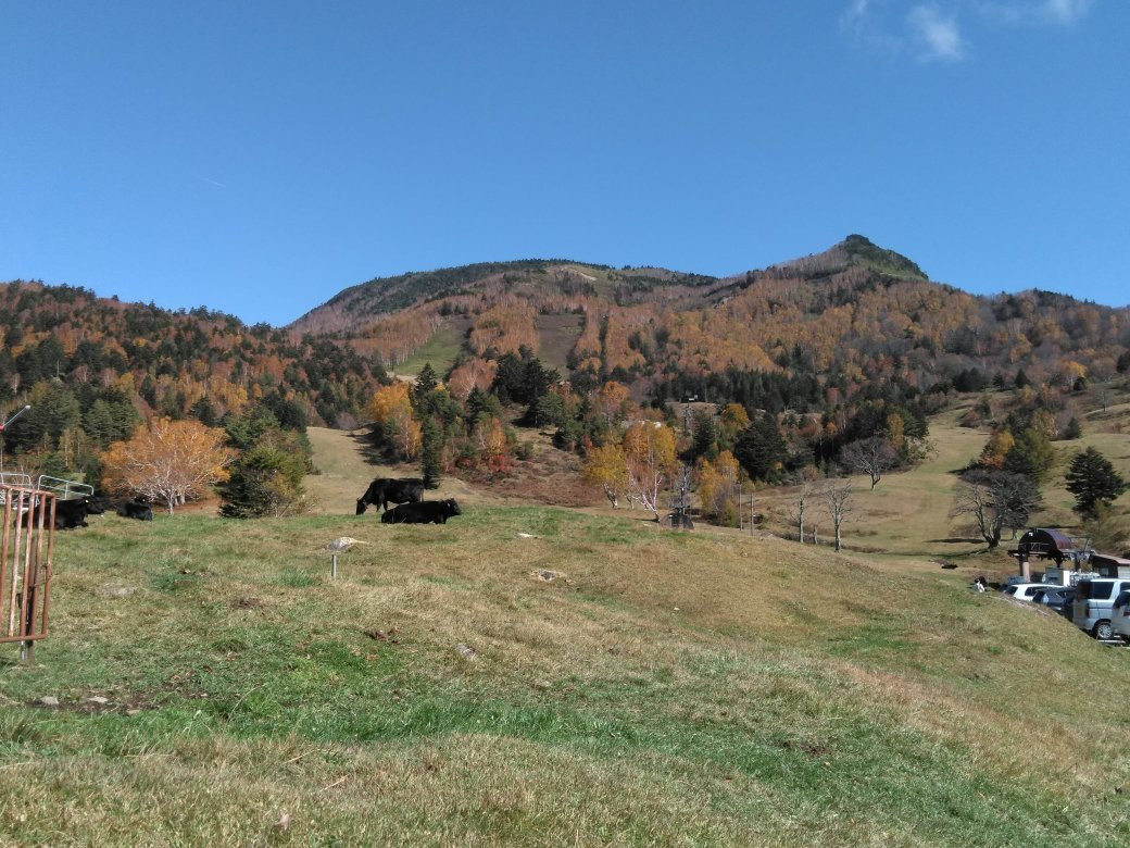 Yamada Farm, Yamaboku Wild Snow Park-高山村必去景点