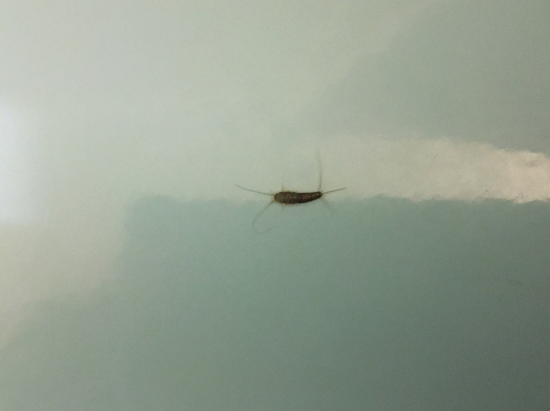 Island View Lodge主图