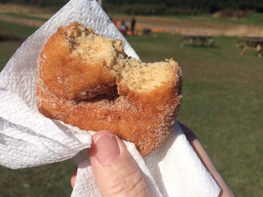Appleberry Farm-麦迪逊必去景点