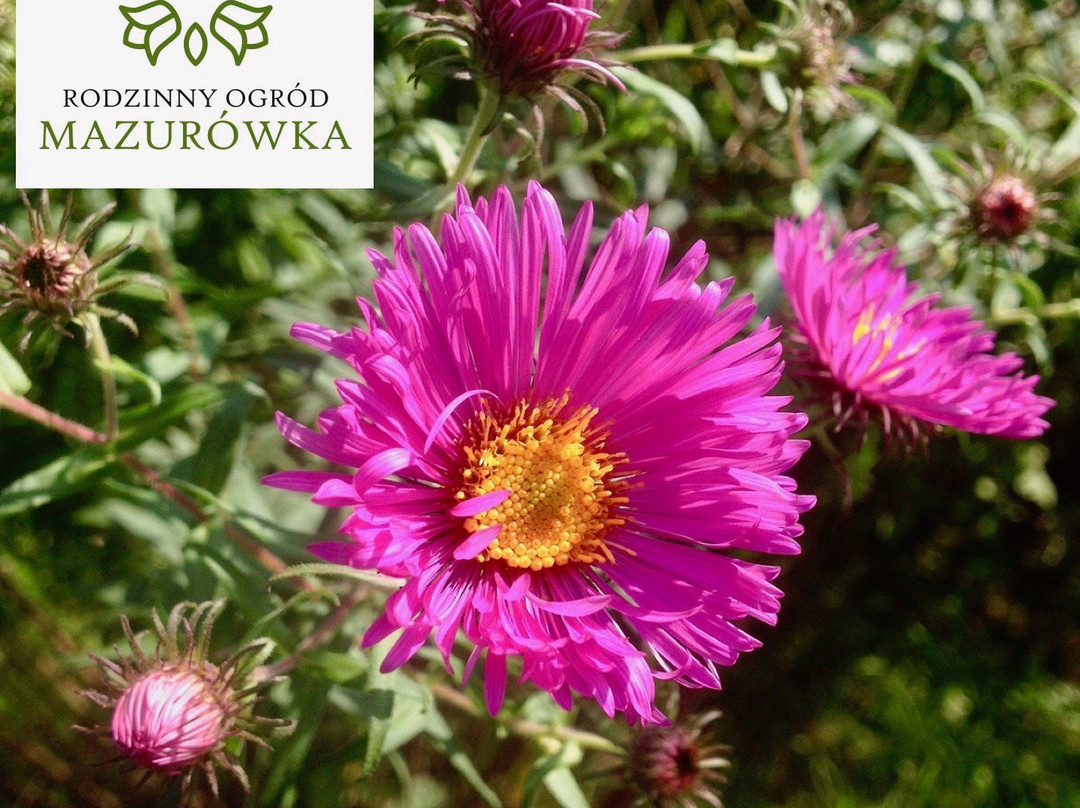 Family Garden Mazurowka-Uscie Gorlickie必去景点