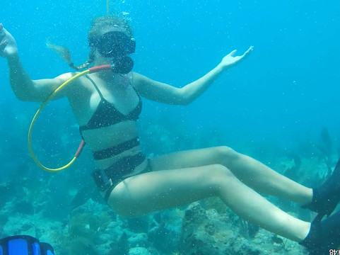 Miami Scuba Diver LLC-迈阿密海滩必去景点