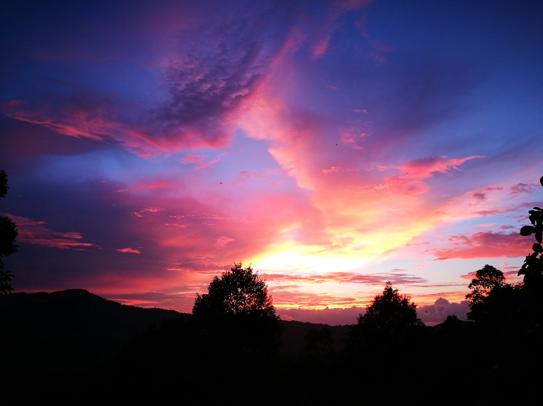 Borneo Orchard House主图