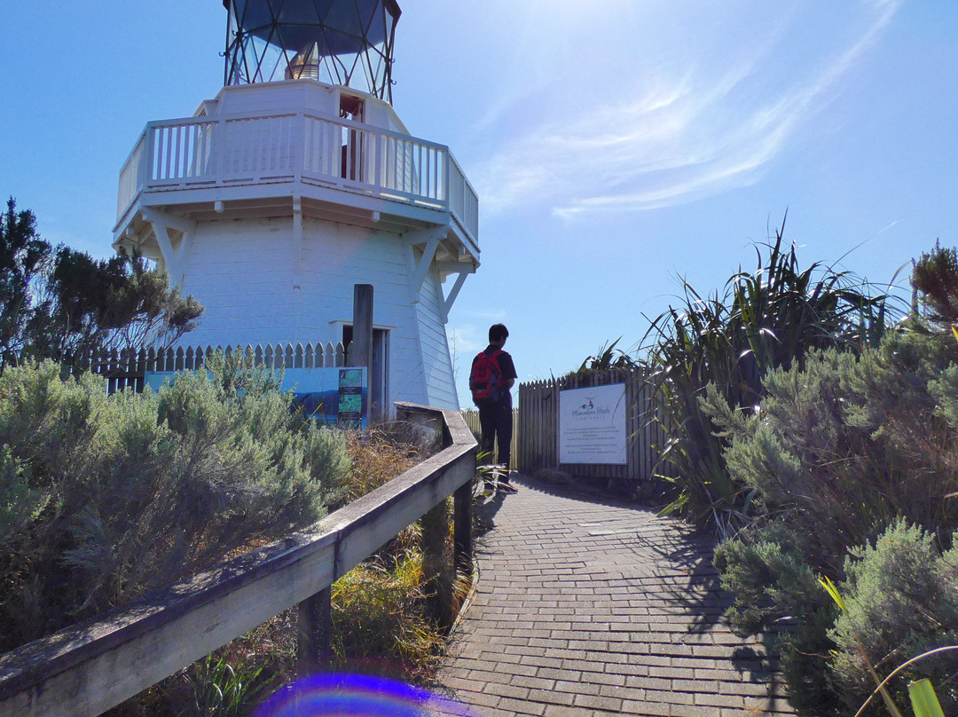 Manukau Heads Lighthouse景点图片