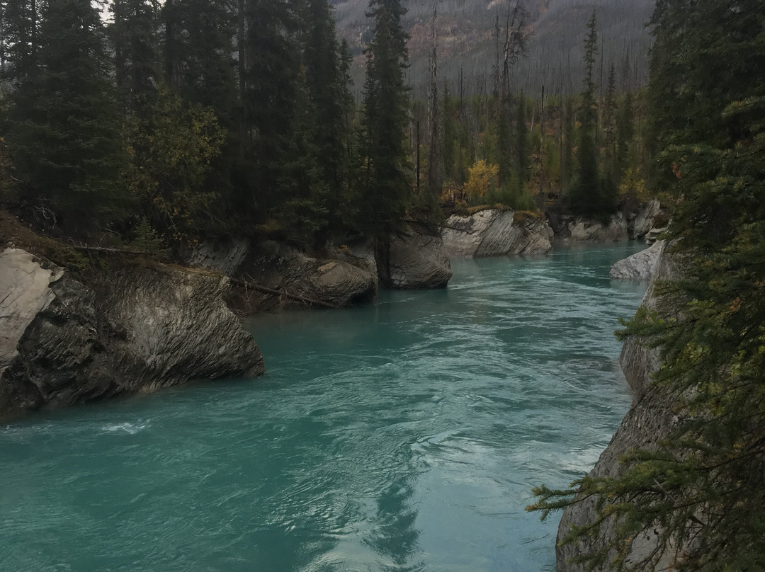Kootenay Park Lodge主图