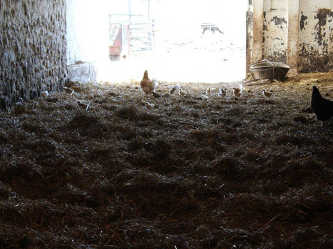 Knox's Pumpkin Farm-Hampton必去景点