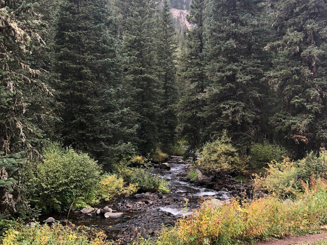 Grotto Falls Trail-博兹曼必去景点