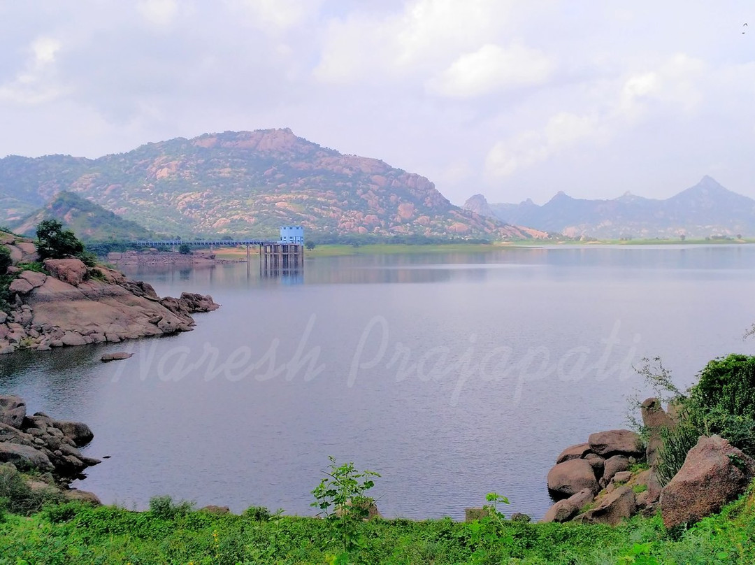 Dharoi Dam景点图片