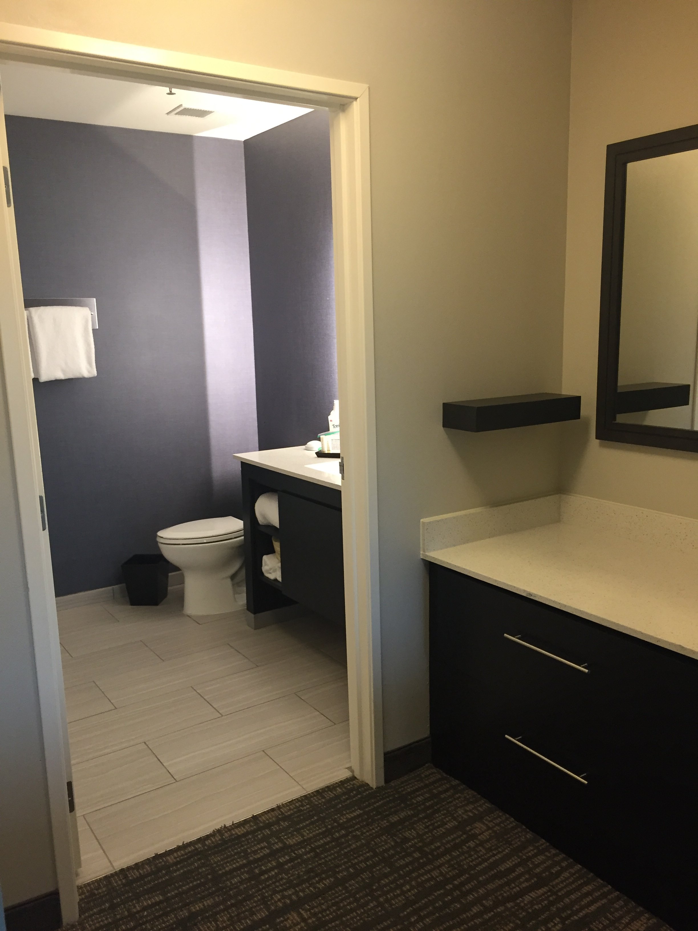 Residence Inn New Orleans Elmwood-浴室