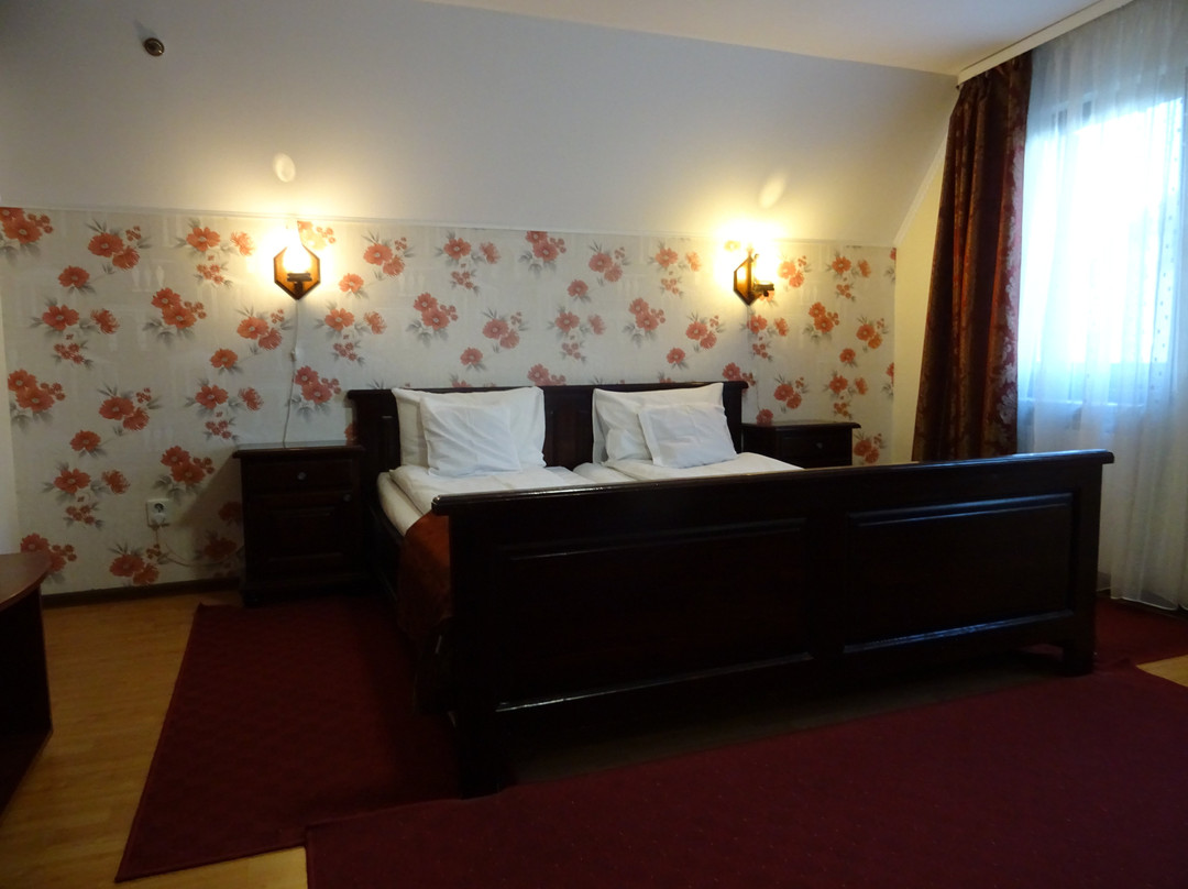 Pensiunea Magnolia主图