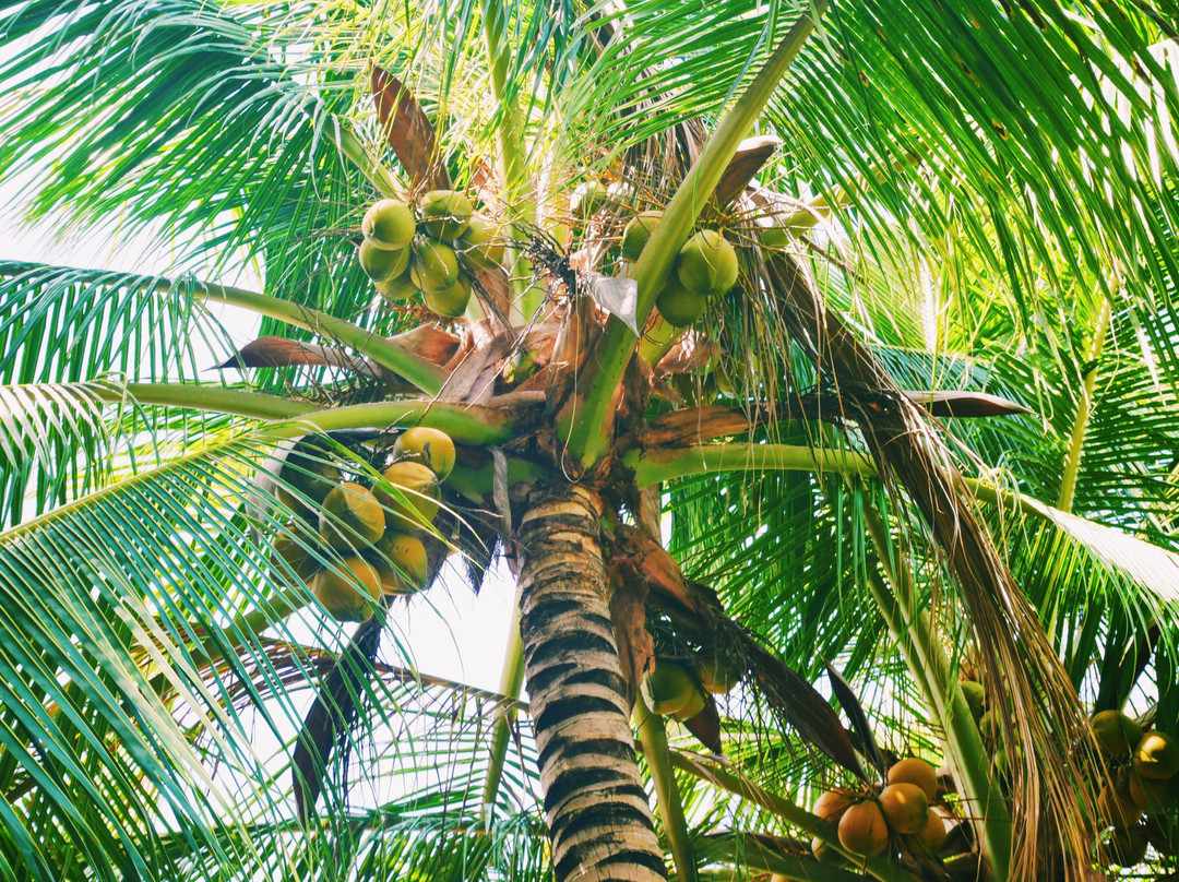 拉孜海滩度假村主图