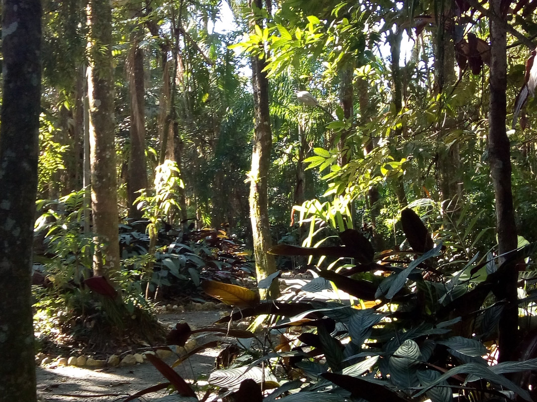 Henry Paul Park-Timbo必去景点