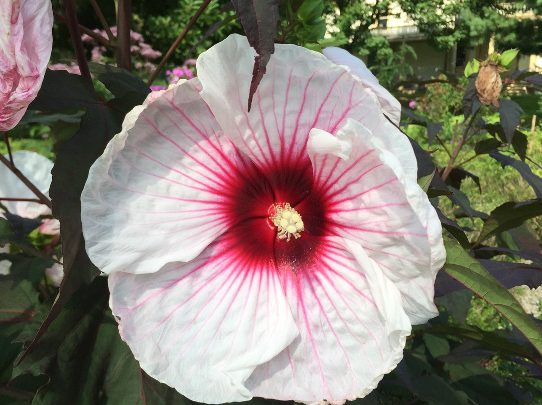 Cedarmere-Roslyn必去景点