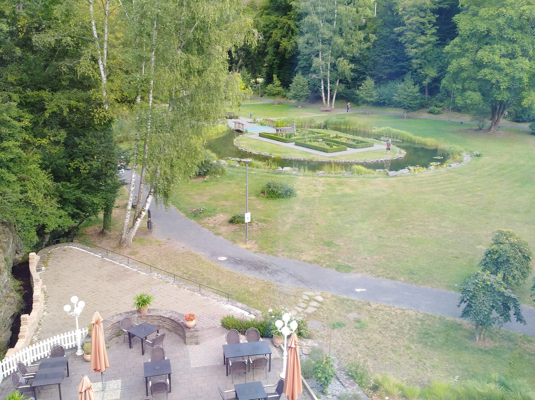 Hotel Alte Muhle主图