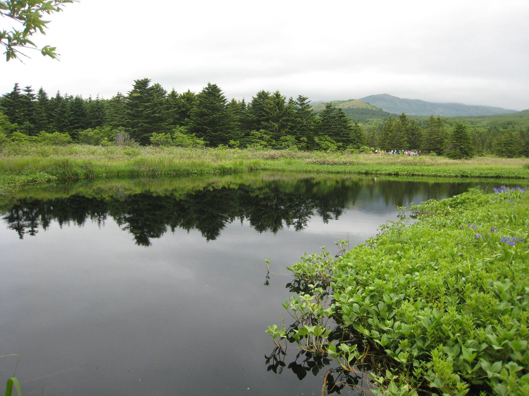 Minamihama Wetland-利尻富士町必去景点