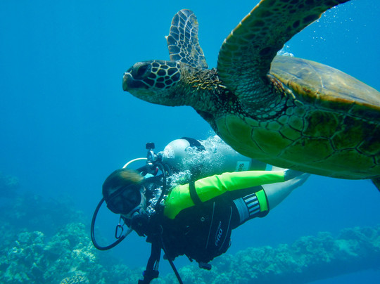 Scuba Barry LLC-维雷亚必去景点