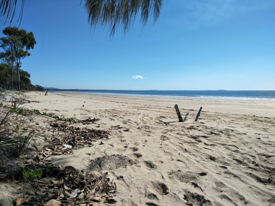 Agnes Water旅游景点-Eurimbula National Park