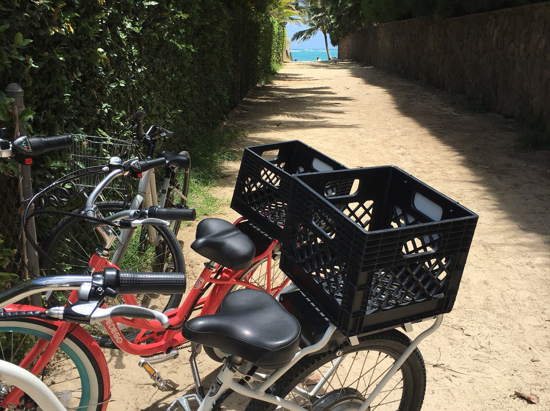Pedego Electric Bikes Kailua-科纳必去景点