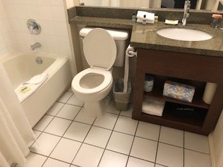 Sandman Hotel Langley-浴室