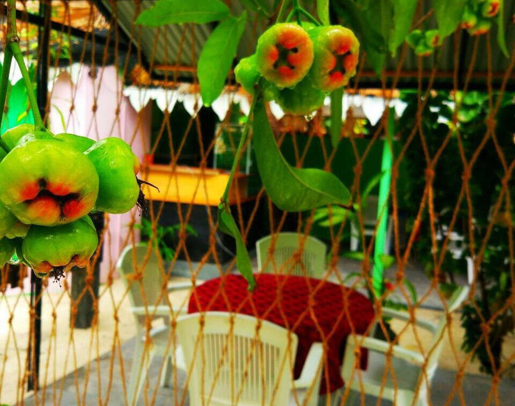 图杜岛餐馆和美食-Coco Mero Restaurant