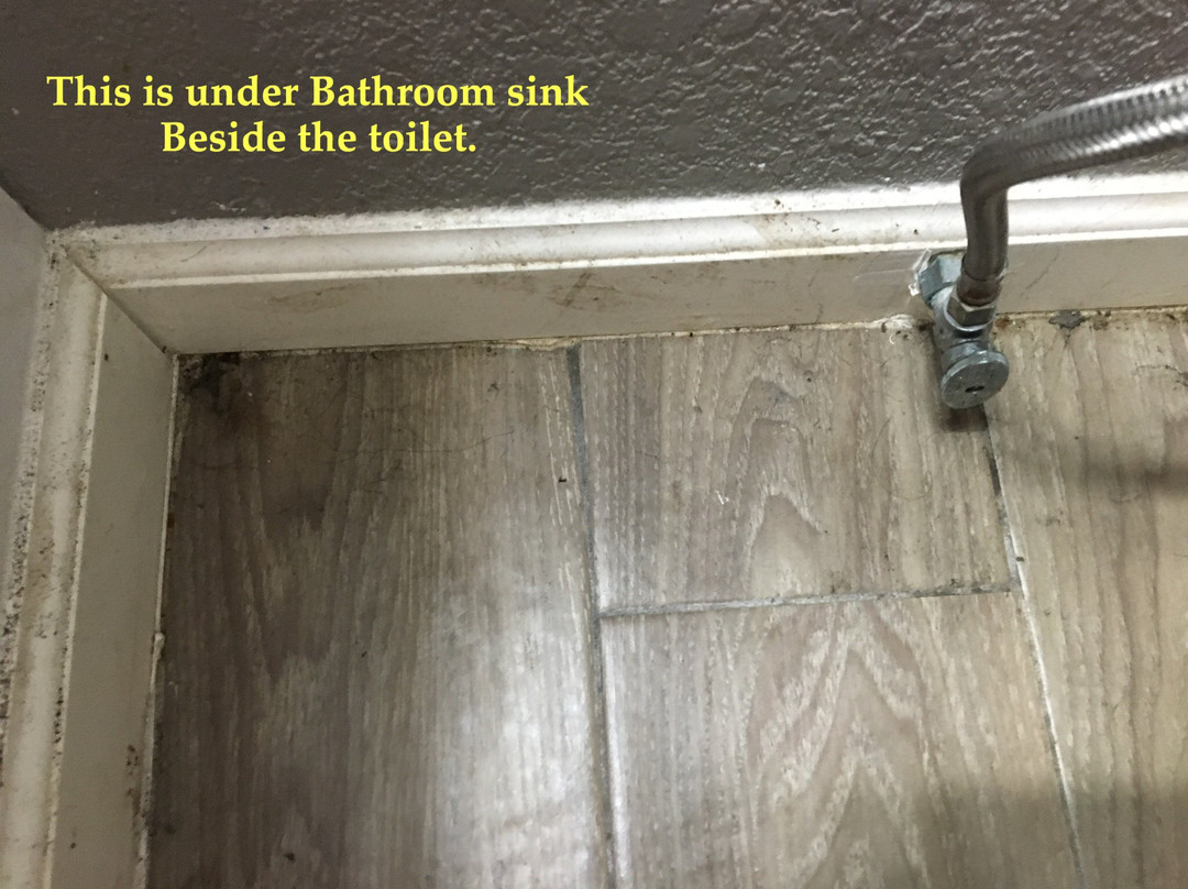 子午线套房酒店主图