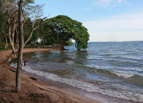 Banda Island Resort主图