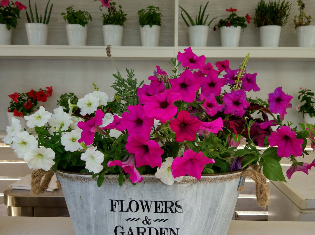 Teatro Deluxe Rooms主图