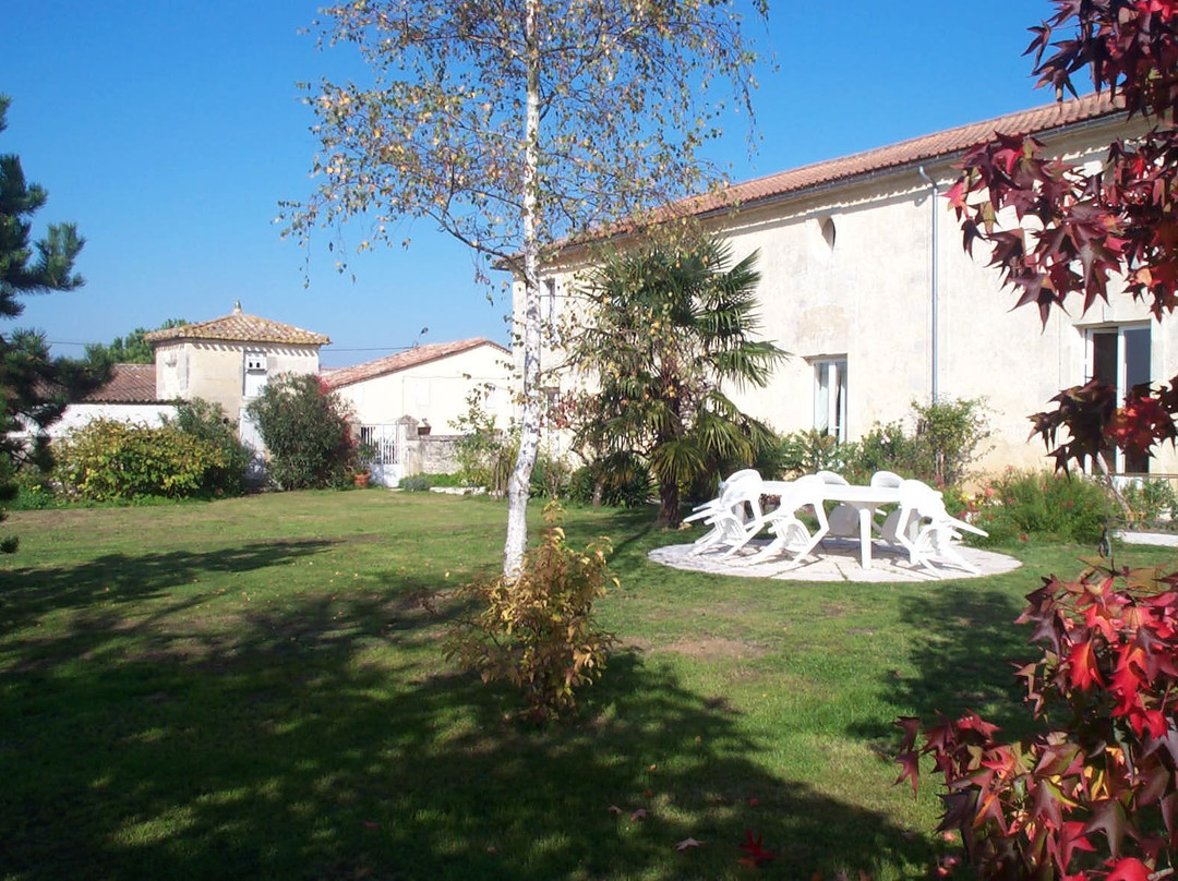 Château Cajus主图